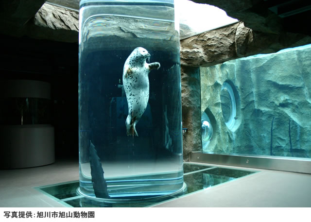 画像引用＿旭川動物園の行動展示風景